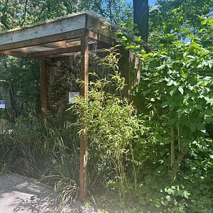 Bearded Reedling and Spotted Crake Enclosure