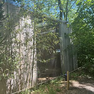 Great Grey Owl and Northern Hawk Owl Aviary