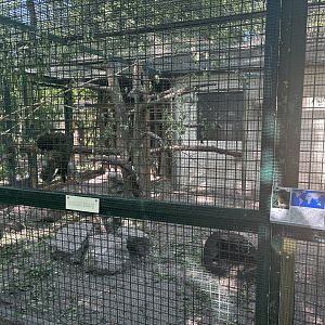 Kea Enclosure
