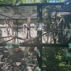 Kea Enclosure