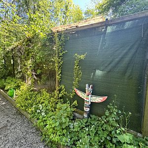 Tarped off (Fraser’s Eagle Owl) Enclosure