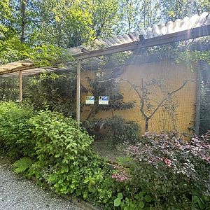 Motmot and co. Enclosure