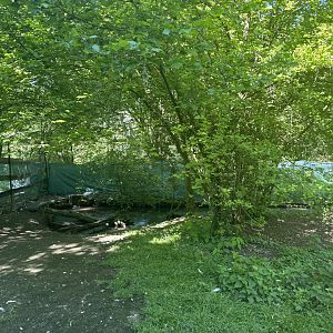 Part of Great White Pelican Enclosure
