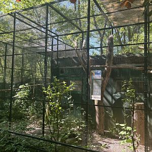 Blue and yellow Macaw enclosure