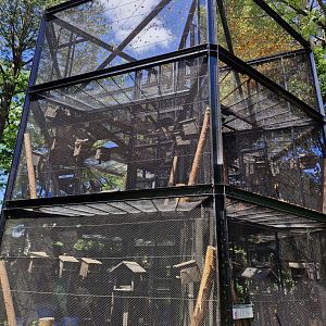 Squirrel breeding tower