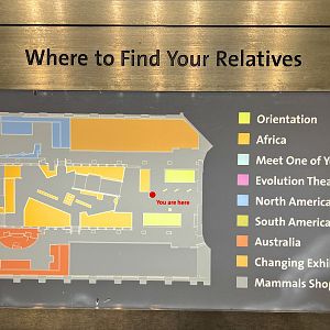 Where To Find Your Relatives (Kenneth E. Behring Family Hall of Mammals Map)