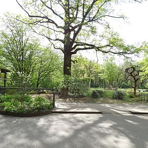 Meerkat / yellow mongoose enclosure