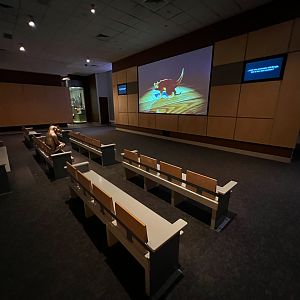 Mammal Evolution Theater