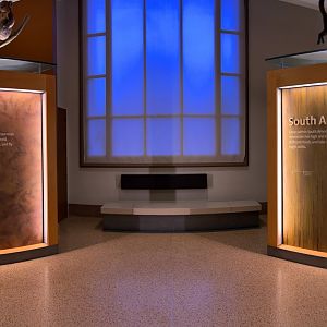 South American & Australian Mammal Exhibits