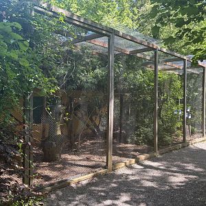 Mixed Species Aviary