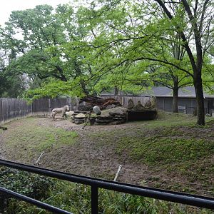 Africa Trail - Hartmann's Mountain Zebra (Equus zebra hartmannae) Exhibit