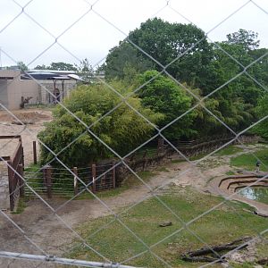 Elephant Trails - View of Asian Elephant (Elephas maximus) Habitats