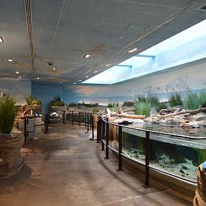 Bird House - Delaware Bay Shorebird Aviary