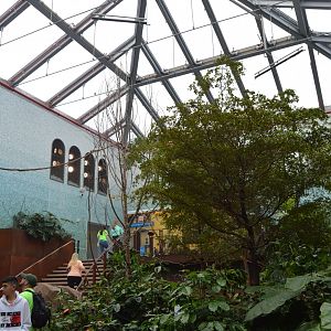 Bird House - Bird-friendly Coffeee Farm Aviary