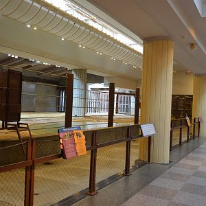 Elephant Trails - Elephant Community Center