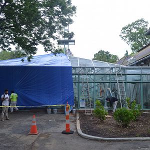 Think Tank - Renovation Work on Outdoor Exhibit
