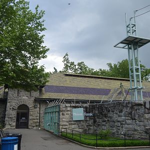 Think Tank - Overview and Bornean Orangutan (Pongo pygmaeus) Exhibit