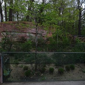 (Empty) bat-eared fox enclosure