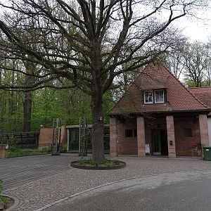 Gorilla house entrance with macaw enclosure
