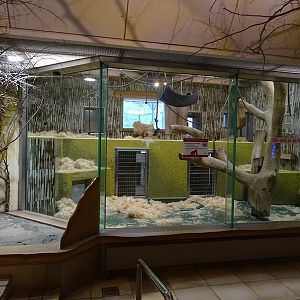 Gorilla House; gorilla indoor enclosures