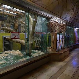 Gorilla House; gorilla indoor enclosures