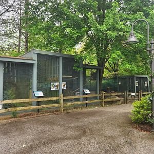 Penitentiary Glen Reservation - Raptor exhibits