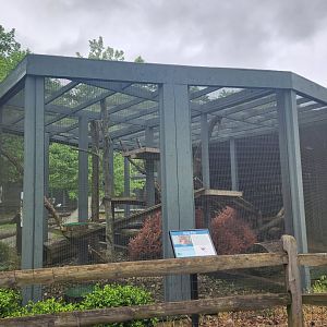 Penitentiary Glen Reservation - Gray Fox exhibit