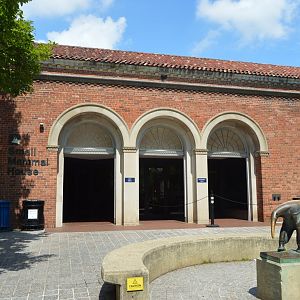 Small Mammal House - Exterior