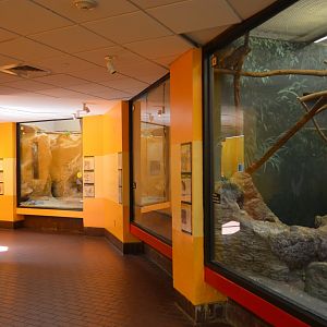 Small Mammal House - Interior