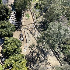 Panda Trek Construction 5/8/24