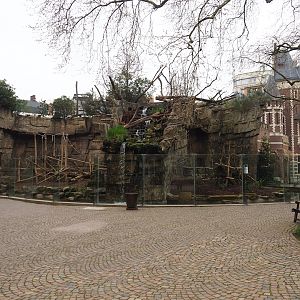 Mandrill and Colombian black spider monkey exhibits, 2023-04-08