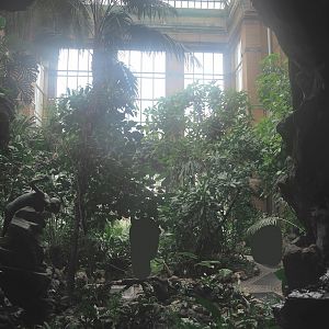 Winter Garden/Seasonal butterfly house, 2023-04-08