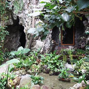 Winter Garden/Seasonal butterfly house - Pond and cave with entrance, 2023-04-08