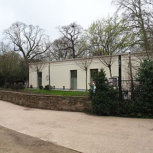 Okapi and Red duiker paddock at the backside of the Moorish Temple, 2023-04-08
