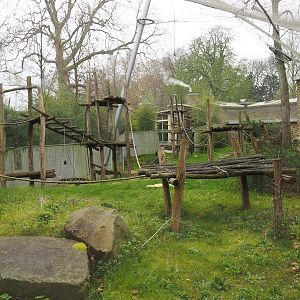 Chimpanzee exhibit,  2023-04-08