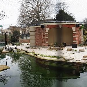 African penguin exhibit, 2023-04-08