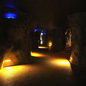 Cave area underneath the restaurant - Walkway from ape outdoor exhibits to savanna aviary, 2023-04-08