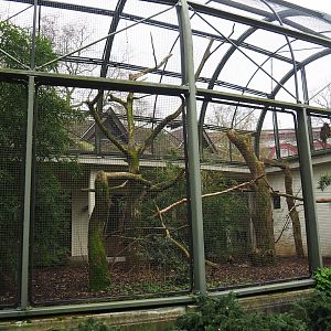 Macaw aviary, 2023-04-08