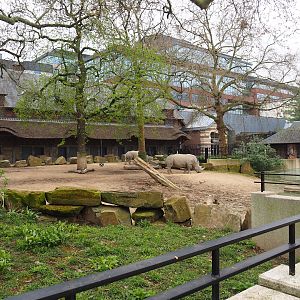 Grant's zebra and Southern white rhinoceros paddock, 2023-04-08