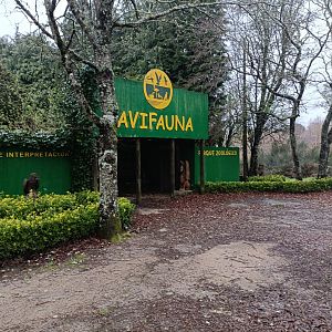 Entrance - Avifauna lugo