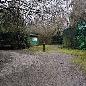 General view - Avifauna lugo