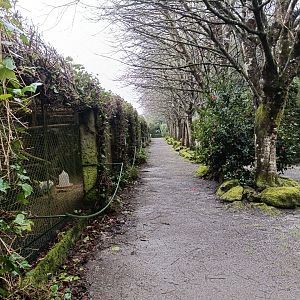 Pheasant exhibits - Avifauna lugo