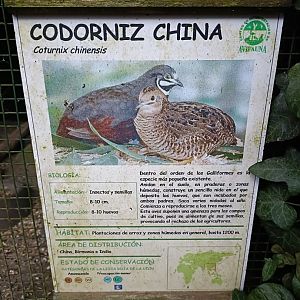 Sign - Avifauna lugo