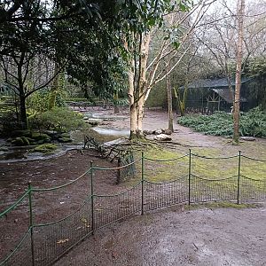 Ducks mixed exhibit - Avifauna lugo