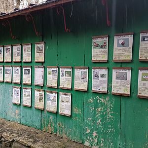 Sign - Avifauna lugo