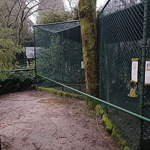 Aviary - Avifauna lugo