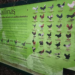 Sign - Avifauna lugo