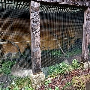 Aviary - Avifauna lugo