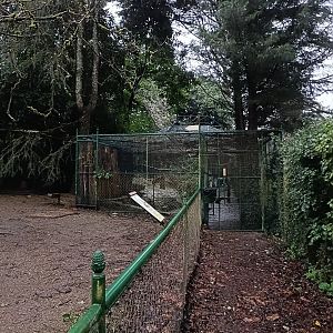 Entrance aviary - Avifauna Lugo