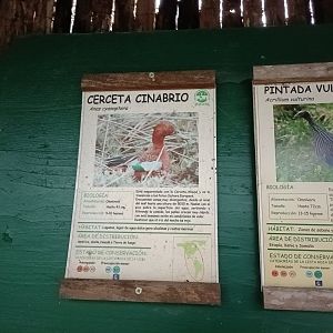 Sign - Avifauna Lugo